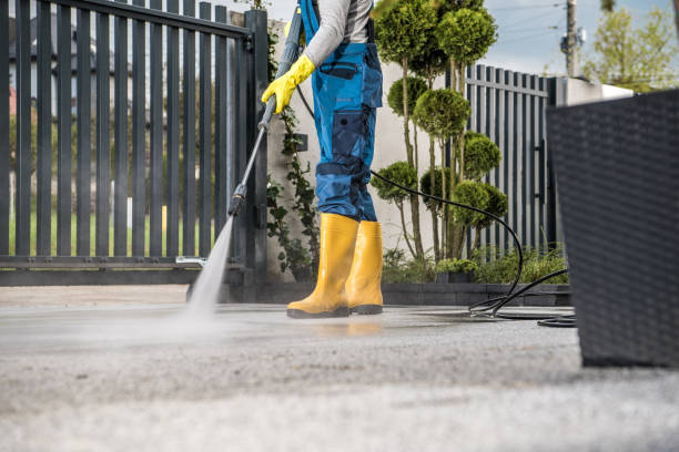 Best Sidewalk and Walkway Cleaning  in Wausau, WI